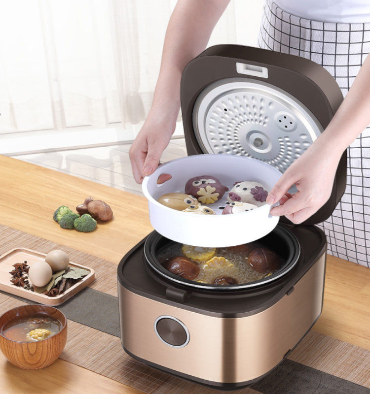 Electric Multi-Rice Cooker with Plastic Housing for Household Use and Hotel Kitchen